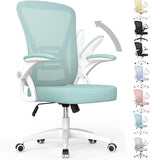 DJIBOUTI Ergonomic Office Chair with Adjustable Height Lumbar Support - 24" W