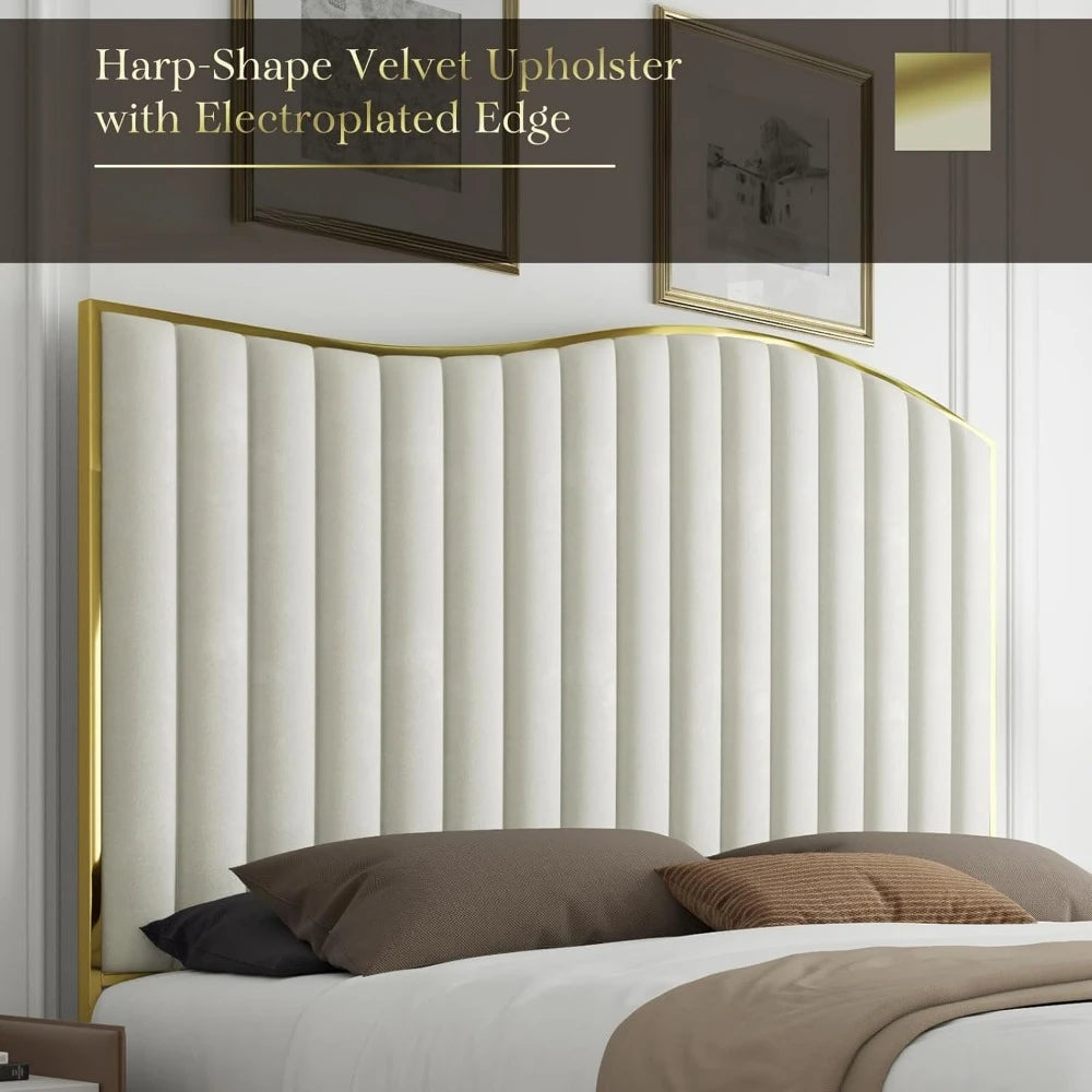 MELODY Modern Harp Velvet Platform Bed Frame – 61.4" Gold Trim Headboard & Footboard