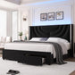 ASHLEY Luxe Wingback LED Velvet Upholstered Platform Bed Frame with Storage Drawers - 76"