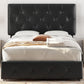 HARPER Modern Upholstered Platform Bed Frame with Storage Drawers, 59'' Wide, Faux Leather Design