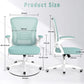 DJIBOUTI Ergonomic Office Chair with Adjustable Height Lumbar Support - 24" W