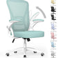 DJIBOUTI Ergonomic Office Chair with Adjustable Height Lumbar Support - 24" W