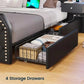 Arely Luxury Glam Upholstered Bed Frame | Queen Size 79.1" Wide PU Leather Platform Bed