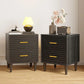 RORY Modern Wooden Bedside Table with 2 Drawers - 19"